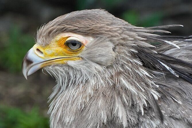 Skip the Line: World of Birds Admission Ticket - FAQs