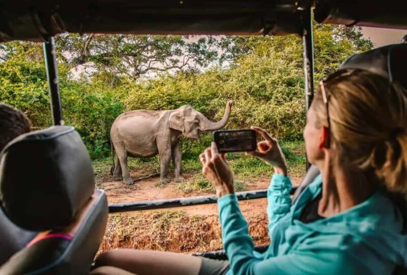 SKIP THE LINE - YALA SAFARI TOUR - Incl. ENTRY TICKETS - Introduction