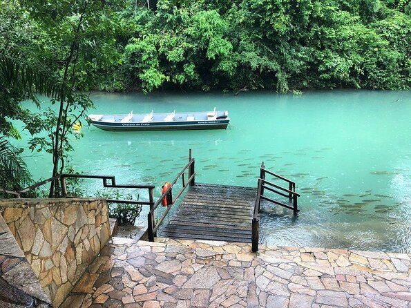 skip-the-linerecanto-ecologico-rio-da-prata-ticket-including-trail-snorkeling