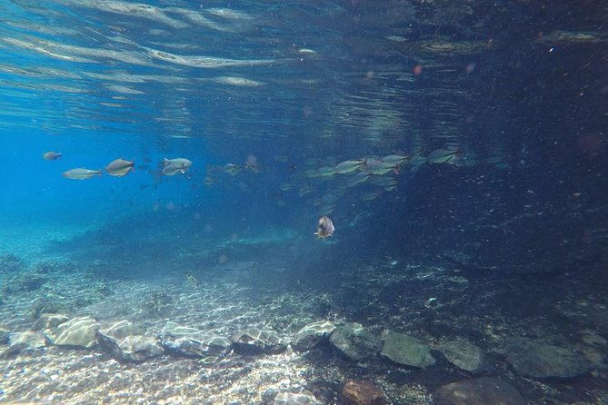 skip-the-linerecanto-ecologico-rio-da-prata-ticket-including-trail-snorkeling