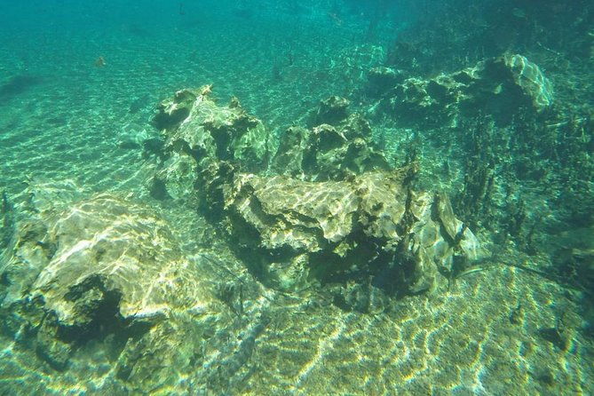 skip-the-linerecanto-ecologico-rio-da-prata-ticket-including-trail-snorkeling