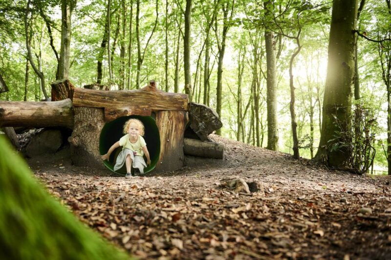 skjern-wow-park-entry-ticket