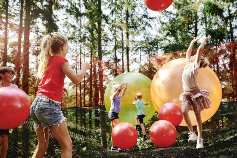 skjern-wow-park-entry-ticket