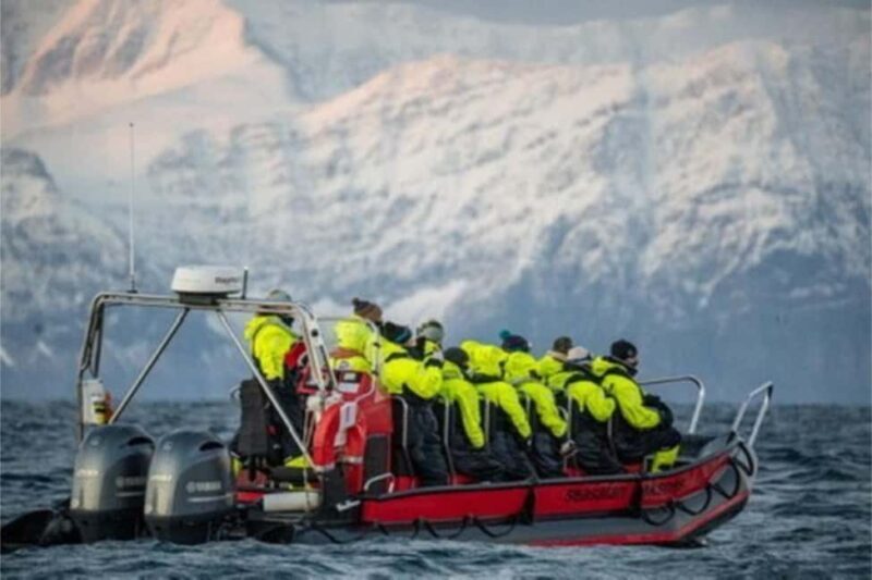 Skjervøy: Whale-Watching RIB Tour (No transfer from Tromso) - Final Thoughts: Who Should Consider This Tour?