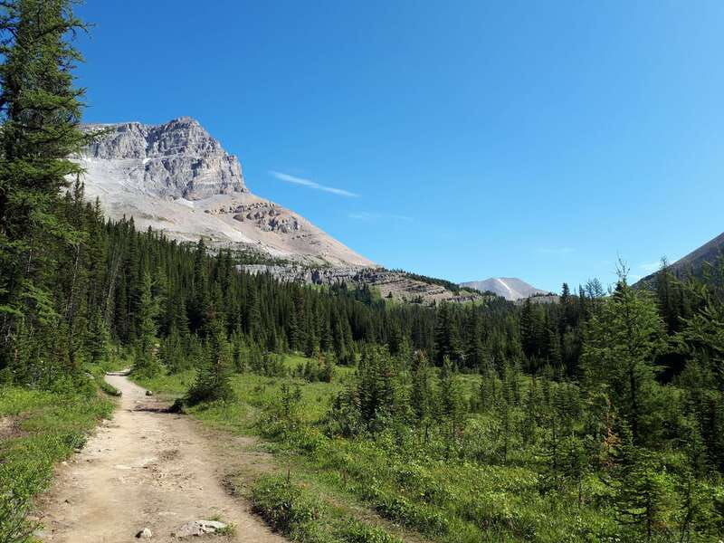 skoki-lake-louise-daily-guided-hike-in-the-canadian-rockies
