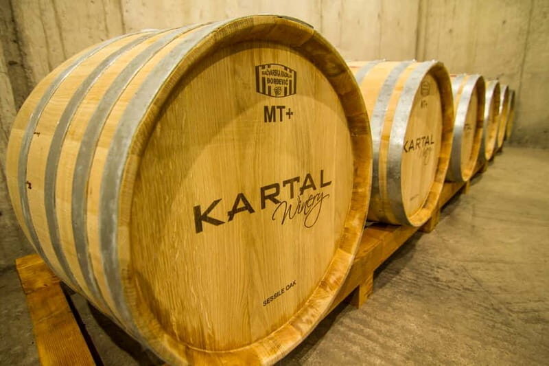 Skopje: Kartal Winery Tour - A Closer Look at the Kartal Winery Tour