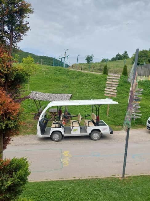 Skopje: Prishtina, Gracanica Monastery & Bear Sanctuary Trip - Who Would Love This Tour?