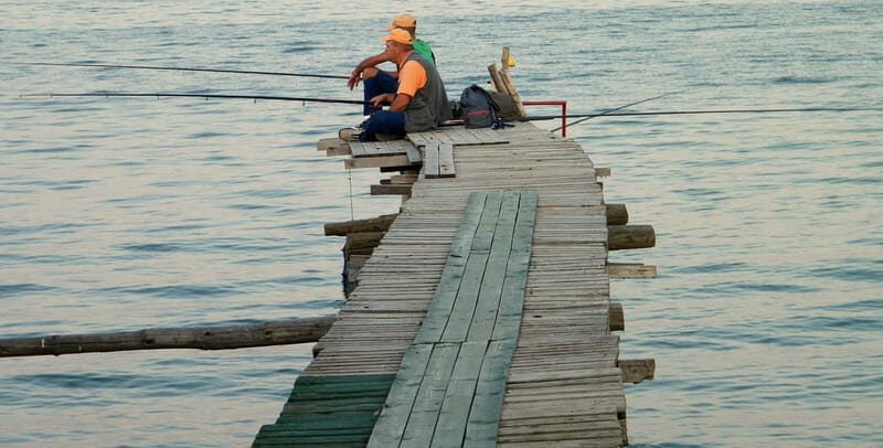 Skopje: Transfer to Tirana w/ Half-Day Tour of Ohrid - Key Points