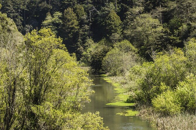 skunk-train-pudding-creek-express-from-fort-bragg