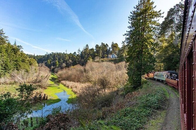 skunk-train-wolf-tree-turn-from-willits