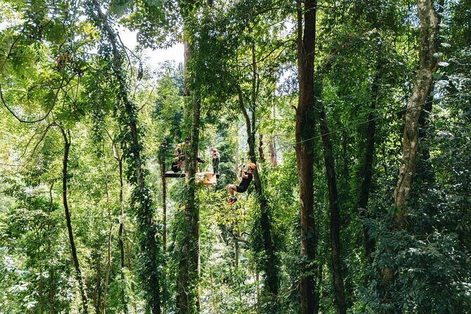 Sky Rock Khaolak Jungle Adventure Zipline Experience - A Closer Look at the Jungle Zipline Experience