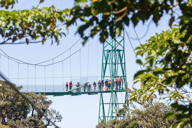 sky-trek-sky-tram-at-monteverde