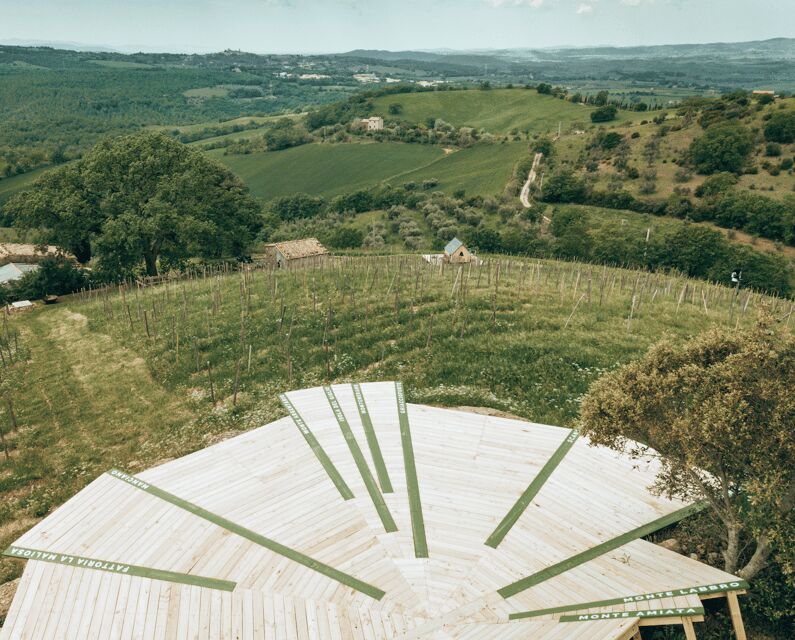 Skydeck - Picnic al tramonto - The Experience in Detail
