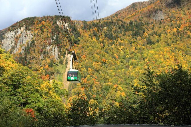 SkyExpress: Autumn Sounkyo Customised Private Day Tour (Up to 8 Passengers) - What Travelers Are Saying