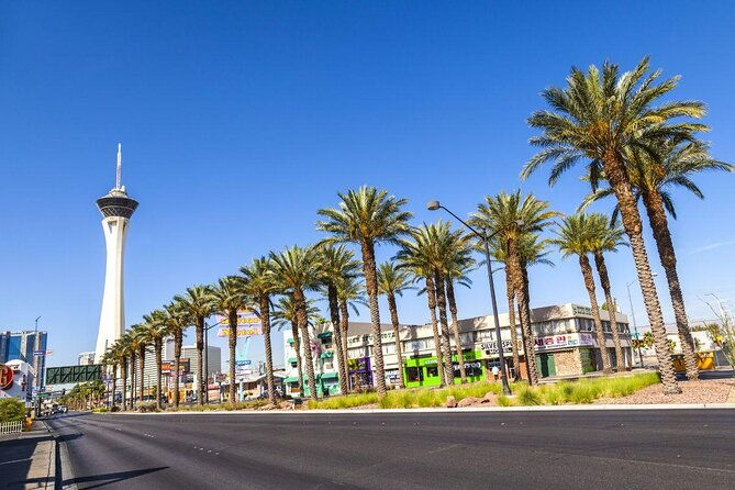 skyjump-las-vegas-at-the-strat-hotel-and-casino