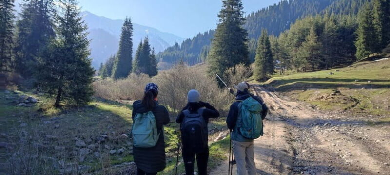 Skyline Hike in Almaty: Bukreev Peak - Skyline Hike in Almaty: Bukreev Peak