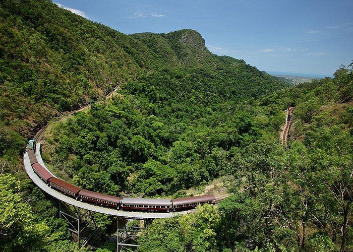 Skyrail Rainforest Cableway Day Trip from Palm Cove - Who Should Consider This Tour?