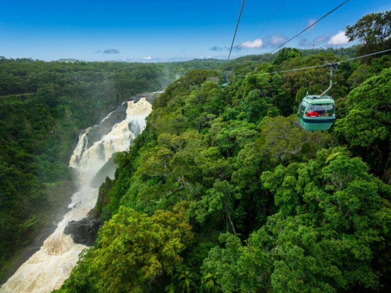 Skyrail Rainforest Cableway Round-Trip Experience - Key Points