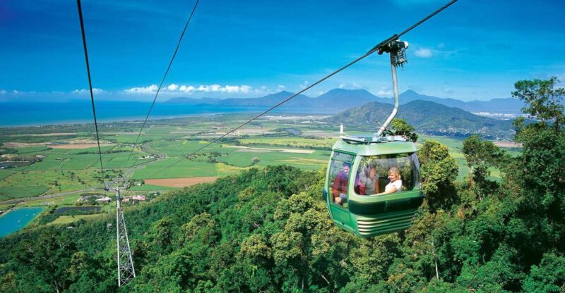 Skyrail Rainforest Cableway Round-Trip Experience - How the Itinerary Unfolds