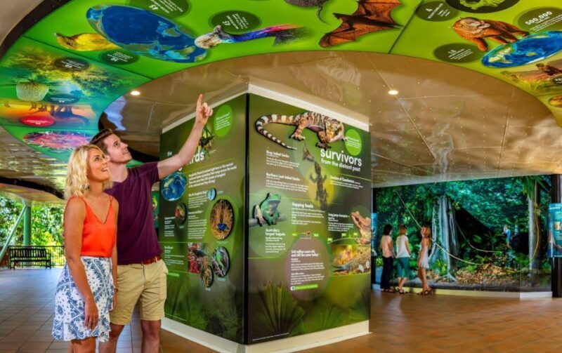 Skyrail Rainforest Cableway Round-Trip Experience - Final Thoughts
