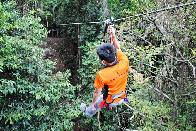 Skytrex Adventure in Langkawi (with transfers) - Who Will Love Skytrex Adventure?