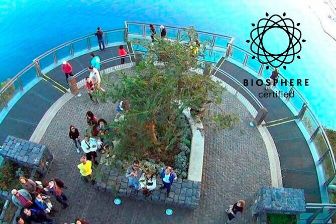 Skywalk and 4x4 Adventure with Amazing Views and Wine Tasting - The Full Experience: What to Expect from This Madeira Jeep Tour