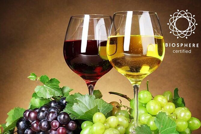 Skywalk, Madeira Wines Tasting and Vineyards 4x4 Experience - Who Will Love This Experience?  