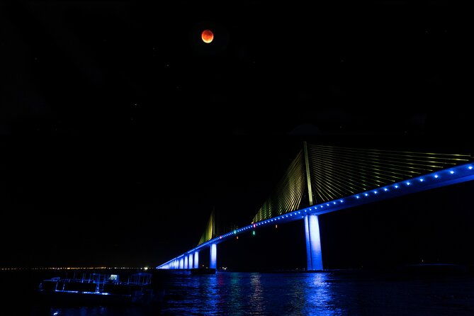 skyway-light-show-tour-under-the-stars