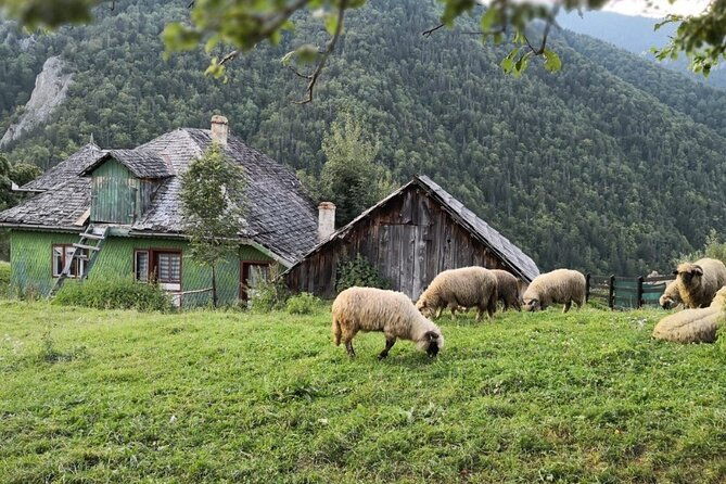 slanic-salt-mines-village-charms-bucharest-day-escape-2