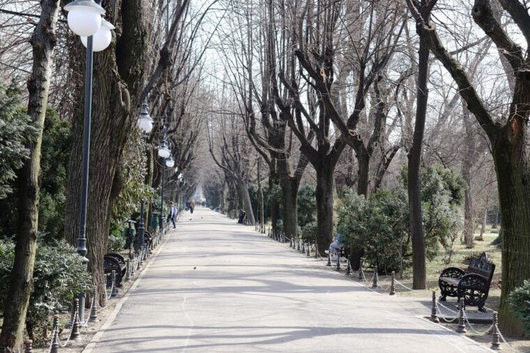 slavery-in-romaniamyths-and-truths-on-gypsies-walking-tour