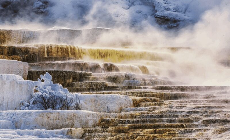SLC:Grand Teton and Yellowstone National Park Multi-Day Tour - A Deep Dive into the Experience