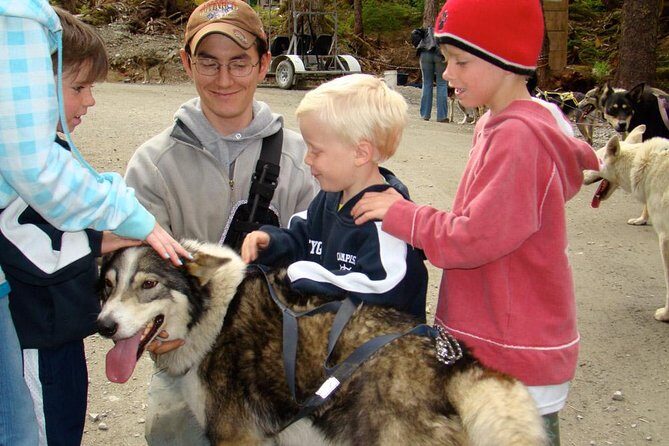 Sled Dog Discovery in Juneau - The Complete Experience Breakdown