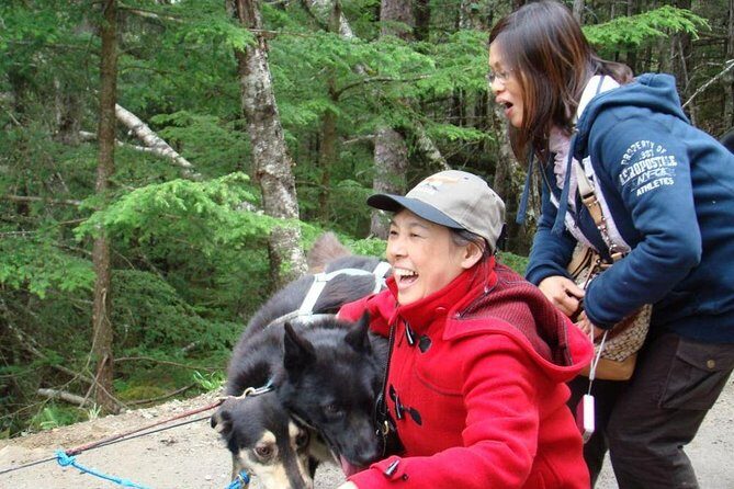 Sled Dog Discovery in Juneau - Who Is This Tour Best For?