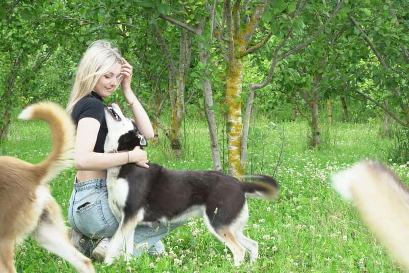 SLED DOG KENNEL VISIT TARTU COUNTRY ESTONIA - Practical Tips for Visiting