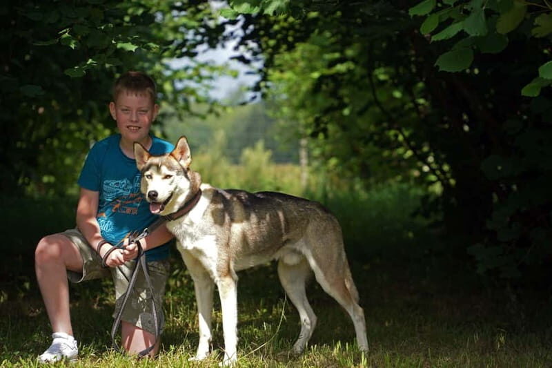SLED DOG KENNEL VISIT TARTU COUNTRY ESTONIA - FAQ