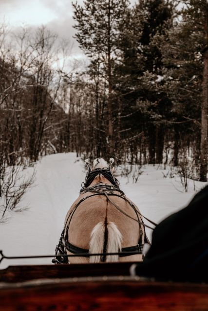 sleigh-ride-and-dining-experience