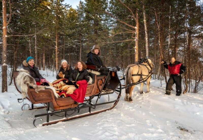 sleigh-ride-and-dining-experience