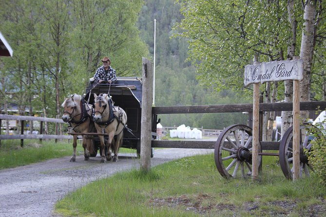 sleigh-ride-w-snacks-experience-arctic-farm-life
