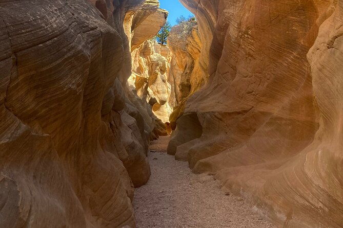slot-canyon-2hr-tour-at-willis-creek