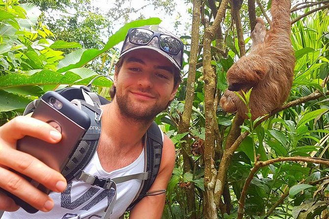sloth-discovery-from-playa-del-coco-area
