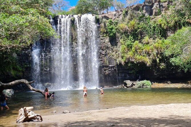 sloth-farm-watching-tour-amazimg-waterfall