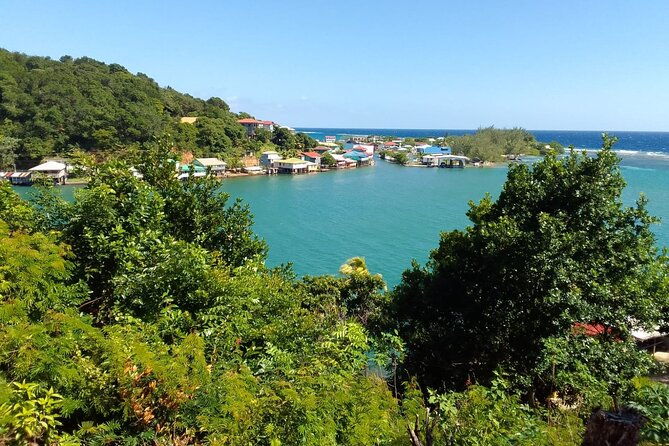 sloths-and-monkeys-roatan-island-and-beach-break-private