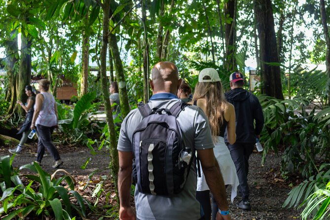 sloths-observation-and-coffee-chocolate-sugarcane-experience-2
