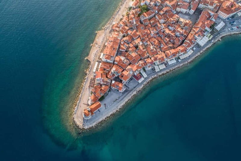 Slovenian Coast Guided Tour from Ljubljana - The Transport and Group Experience