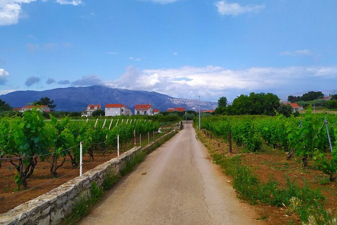 slurp-of-grk-wine-tour
