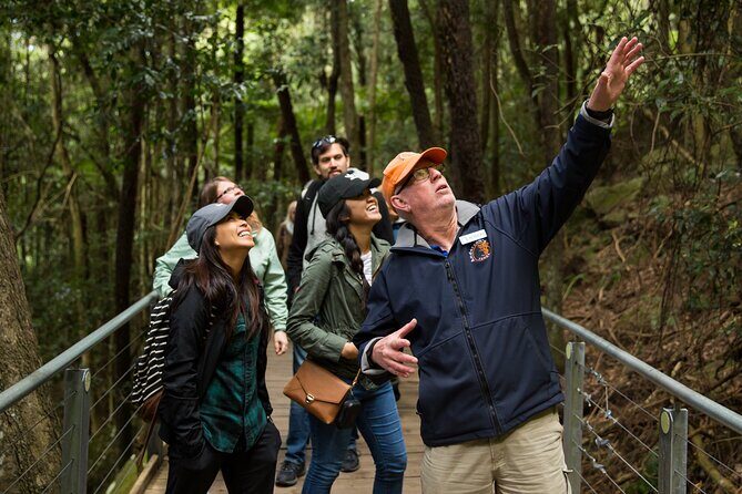 Small All-Inclusive Blue Mountains, Scenic World, Lunch, Cruise - What Travelers Love About This Tour