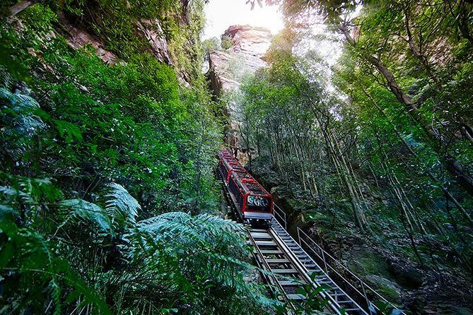 Small All-Inclusive Blue Mountains, Scenic World, Lunch, Cruise - Final Thoughts