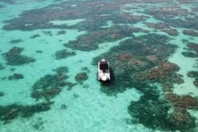small-day-cruise-ilet-caret-mangrove-coral-reef