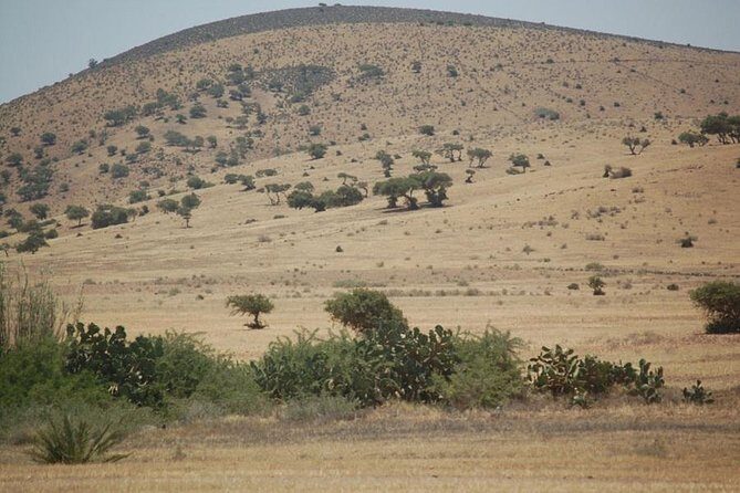 Small desert in 4x4 - Exploring the Small Desert in 4x4: An Authentic Moroccan Adventure