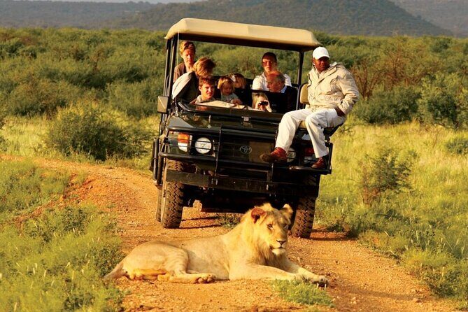 Small Group 4 Day Garden Route Adventure from Cape Town - Key Points